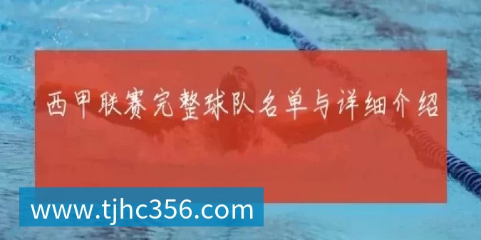 西甲联赛完整球队名单与详细介绍